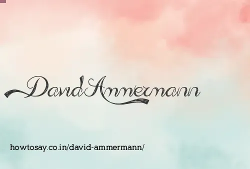 David Ammermann