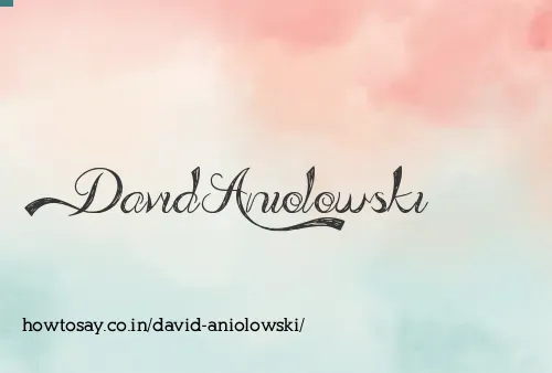 David Aniolowski