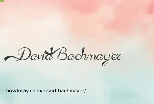 David Bachmayer