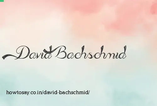 David Bachschmid