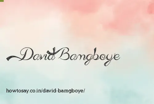 David Bamgboye