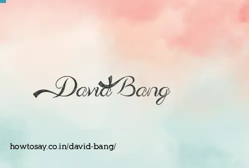 David Bang