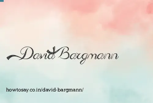 David Bargmann
