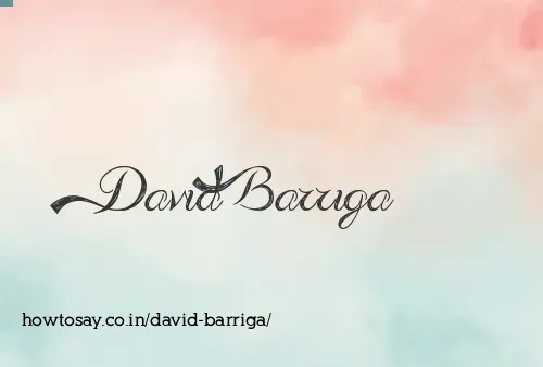 David Barriga