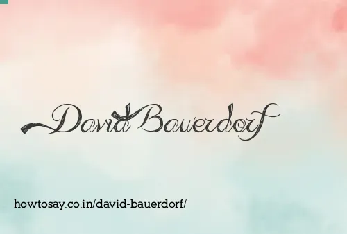 David Bauerdorf