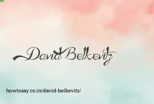 David Belkevitz