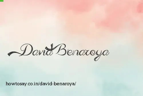 David Benaroya