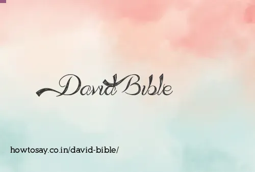 David Bible