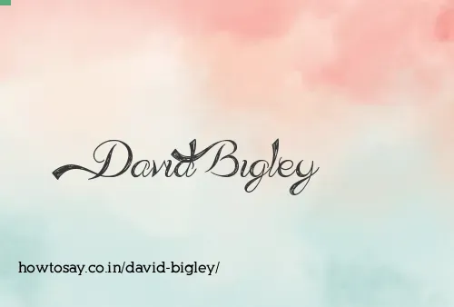 David Bigley