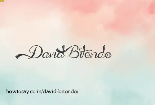 David Bitondo