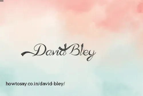 David Bley