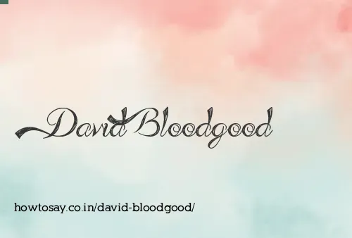 David Bloodgood