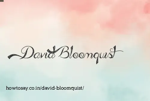 David Bloomquist