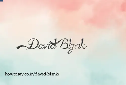 David Blznk