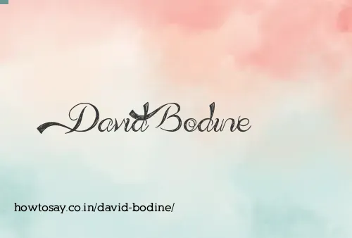 David Bodine