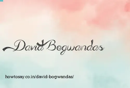 David Bogwandas