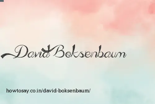 David Boksenbaum