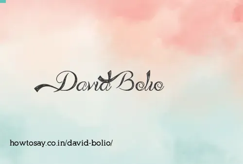 David Bolio