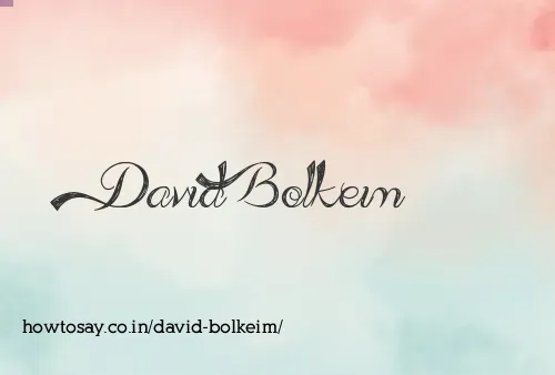 David Bolkeim