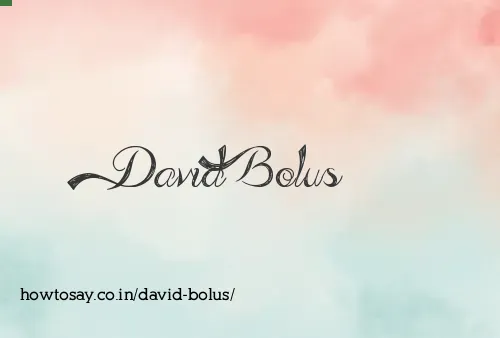 David Bolus