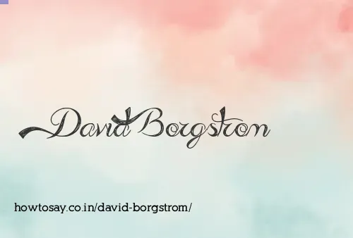 David Borgstrom