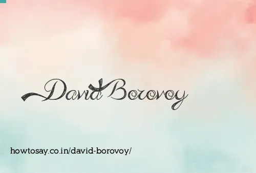David Borovoy