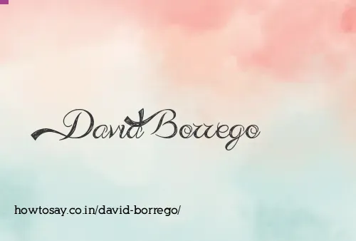 David Borrego