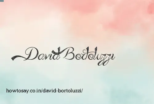 David Bortoluzzi