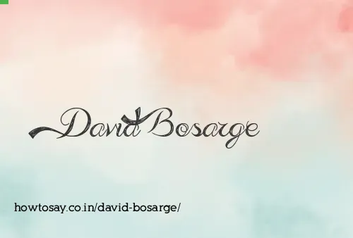 David Bosarge