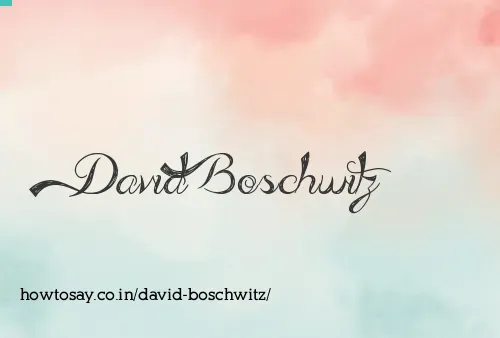 David Boschwitz