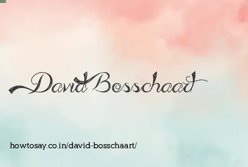 David Bosschaart