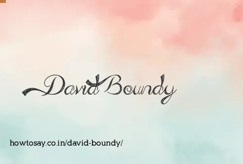 David Boundy