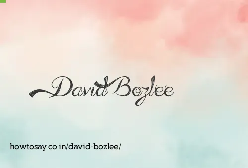 David Bozlee