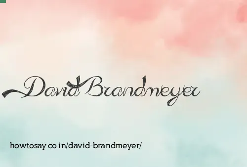 David Brandmeyer