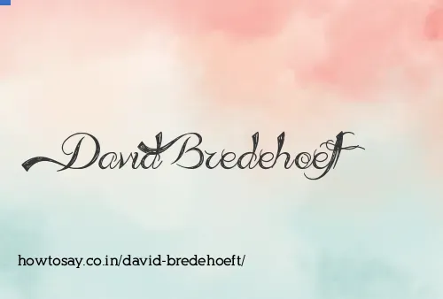 David Bredehoeft