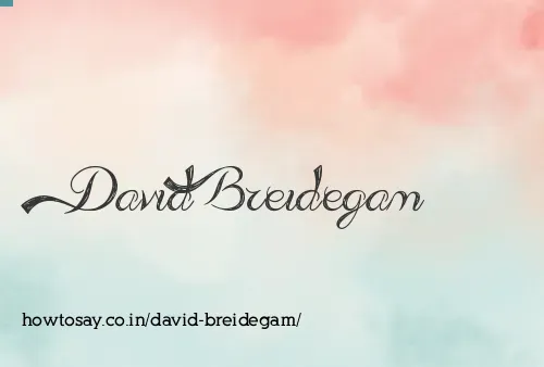 David Breidegam