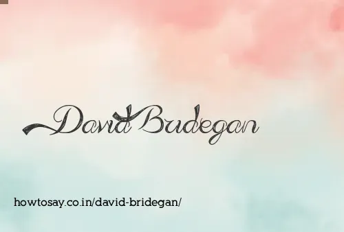 David Bridegan