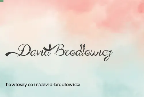 David Brodlowicz