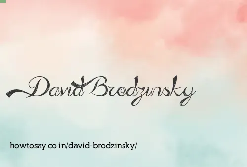 David Brodzinsky