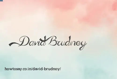 David Brudnoy