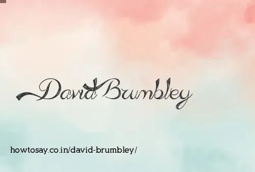 David Brumbley