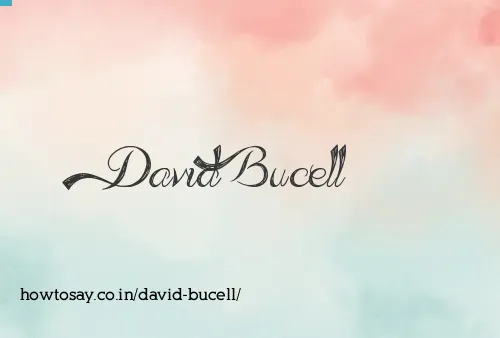 David Bucell