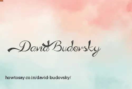 David Budovsky