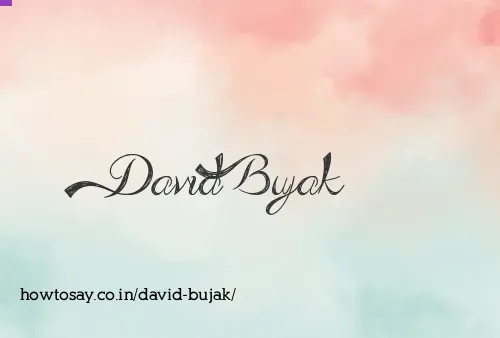 David Bujak