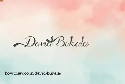 David Bukala