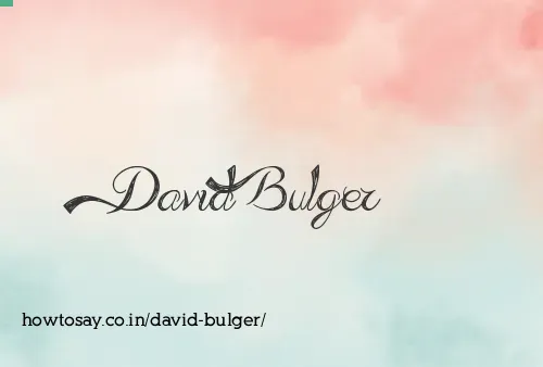 David Bulger