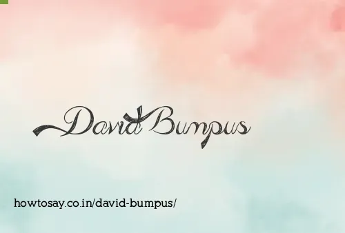 David Bumpus