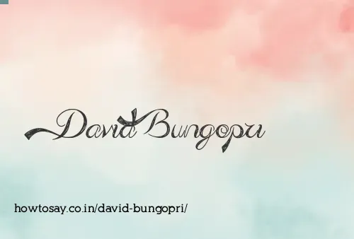 David Bungopri