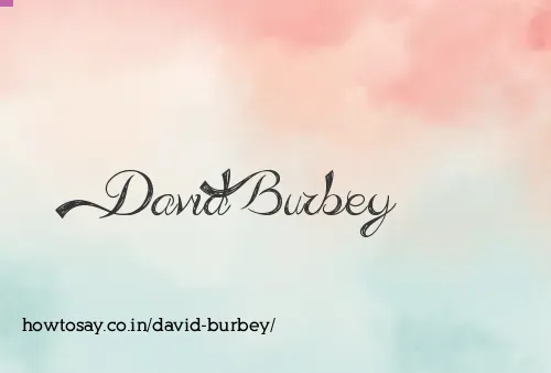 David Burbey