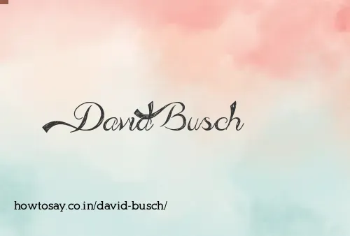 David Busch